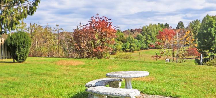 Hotel O Relax Inn Lewisburg near I-64图片