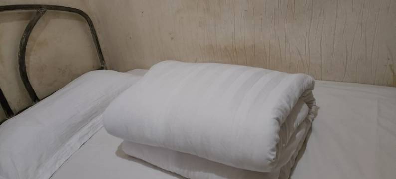 广安流星宾馆图片