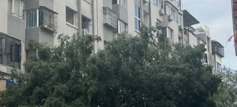 华阳酒店(宁德汽车南站店)图片