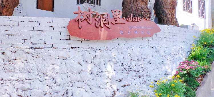 树洞里Sky Mirror star星空雪山之镜|多肉花园(丽江古城大水车店)图片