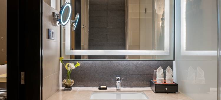 杭州东站诺富特酒店图片