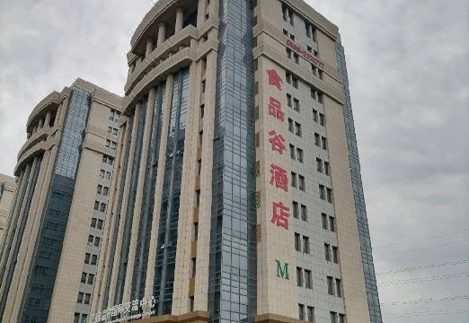 食品谷酒店（潍坊高铁北站店）外景图