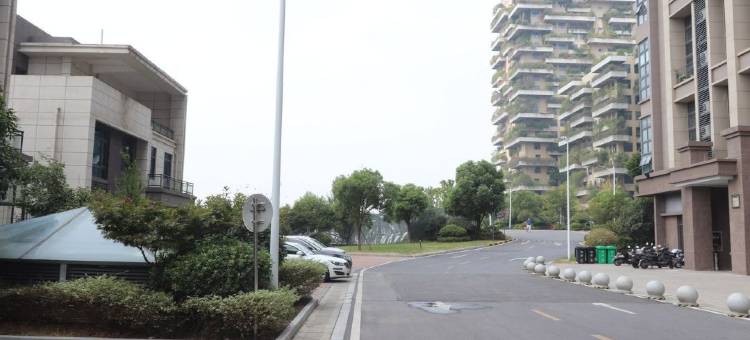 鹊听雅居轻宿图片