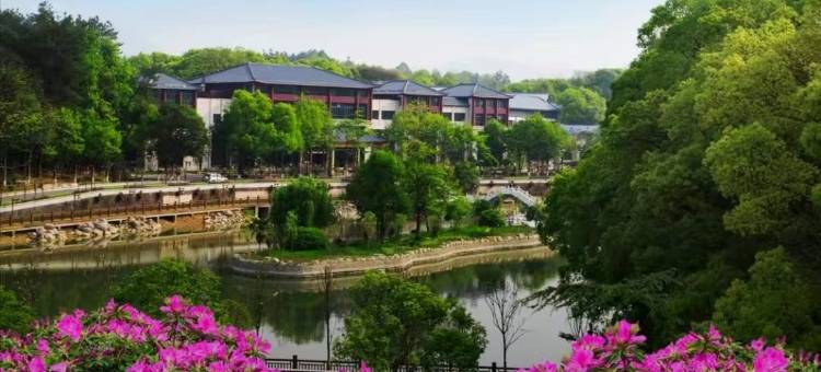 长天靖安园中源大酒店(况钟园林店)图片