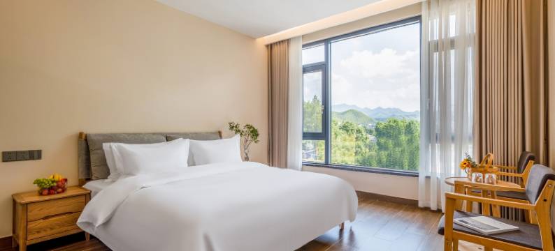 安吉齐乐民宿图片