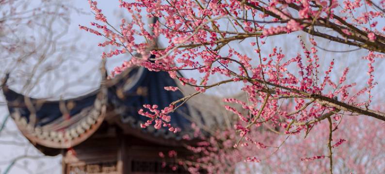 婺女洲度假区五显财神岛轻奢酒店图片