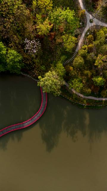 上海画一养生度假村图片