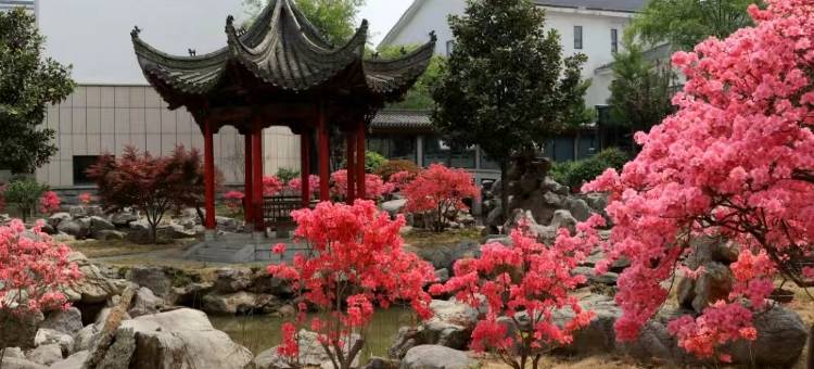 五莲良友喜事会图片
