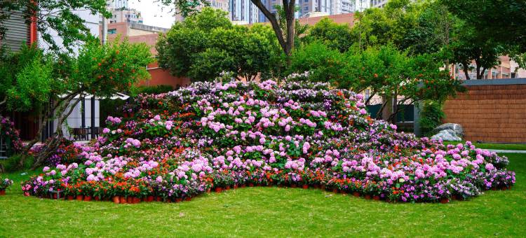 西安香格里拉大酒店图片