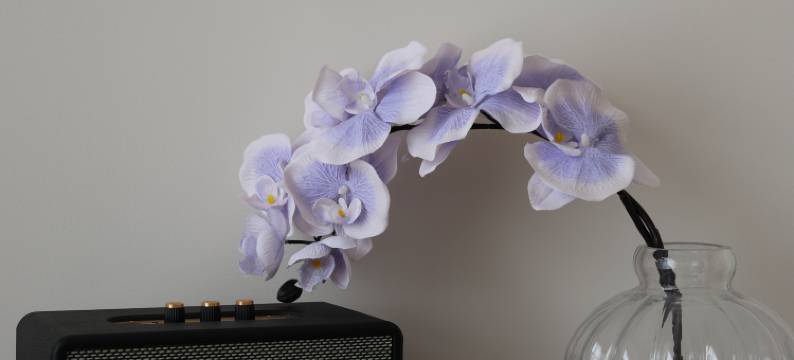 SENYE设计师酒店(天台高铁站店)图片