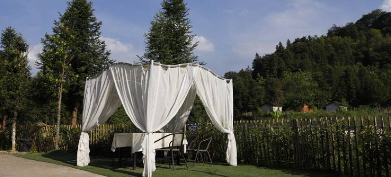 丛林宇宙智慧庄园图片