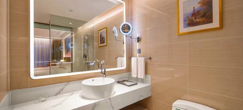 维也纳酒店(佛山里水沙涌店)图片