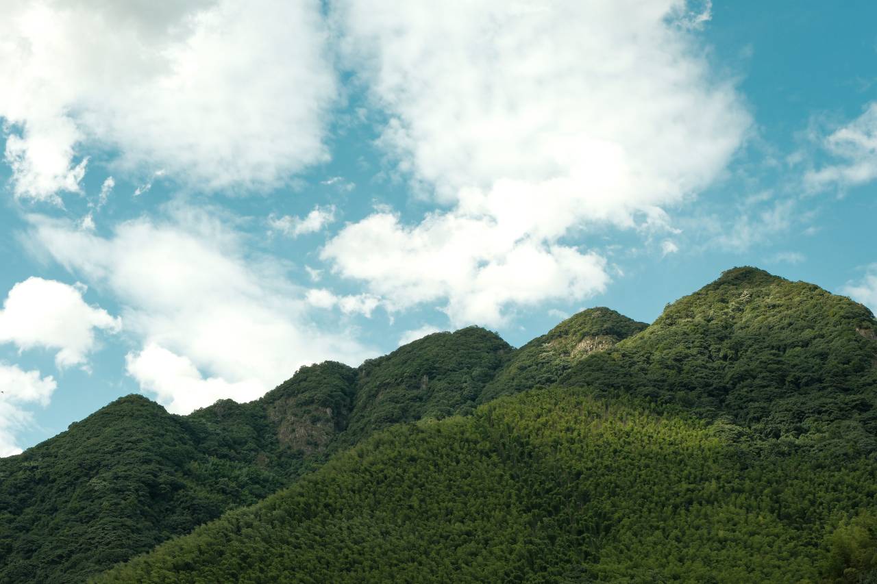 崃野·泳池环山溯溪度假美宿(泾县月亮湾景区店)图片