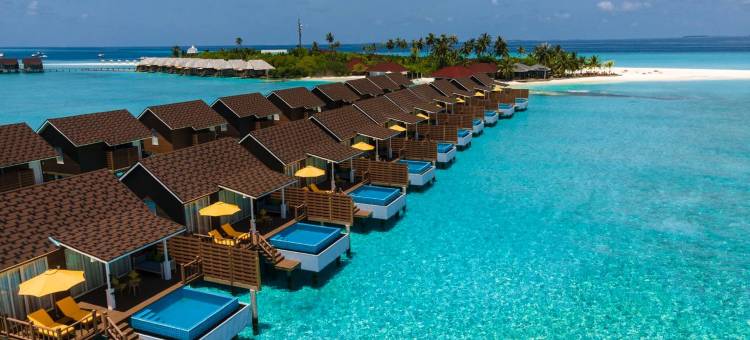 迪古法鲁岛度假村(Dhigufaru Island Resort)图片