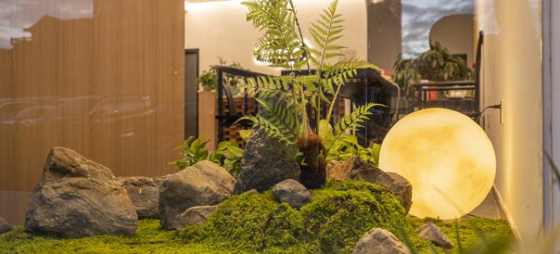 望山涧·Yumsem山风集民宿(望仙谷景区店)图片