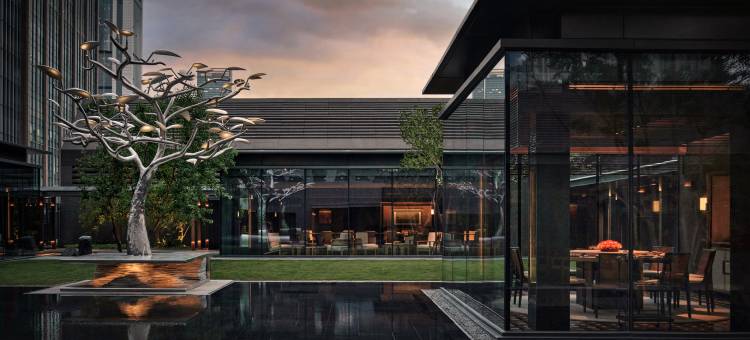 阿丽拉上海图片