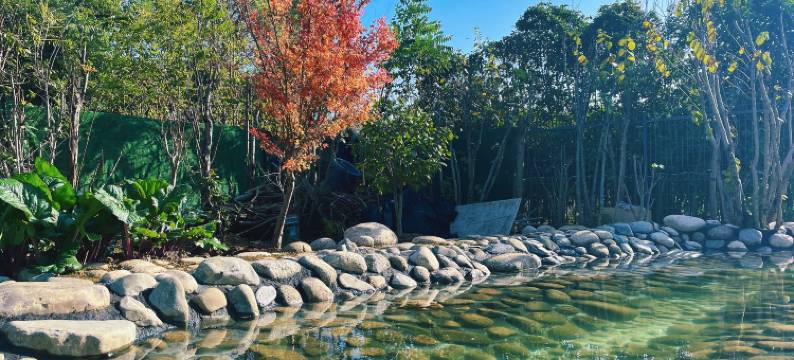 武汉东家西舍民宿(东湖风景区店)图片