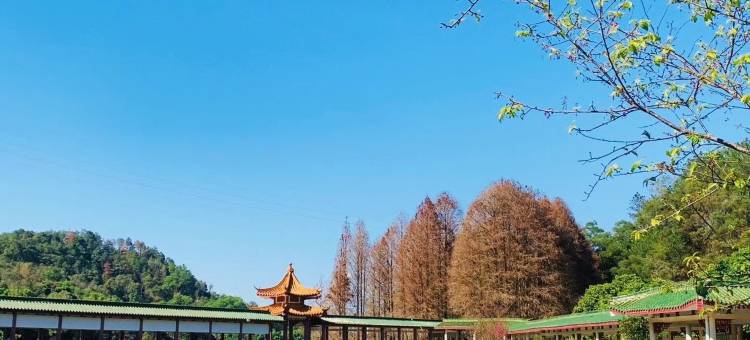 梅州金鑫酒店(万达广场店)图片