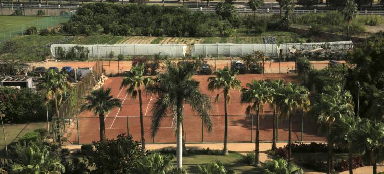 伊斯梅利亚福桑岛美居酒店(Mercure Ismailia Forsan Island Hotel)图片