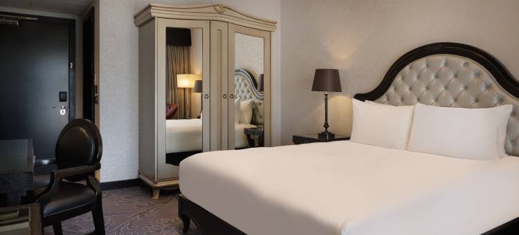 伦敦塞恩公园希尔顿酒店(Hilton London Syon Park)图片