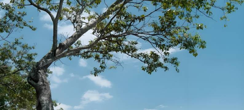 大象•书房|AWAKENING•SOULMATE山海温泉设计师度假庭院(抚仙湖店)图片