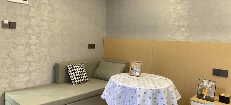 兴华美居公寓(深圳宝安国际机场店)图片