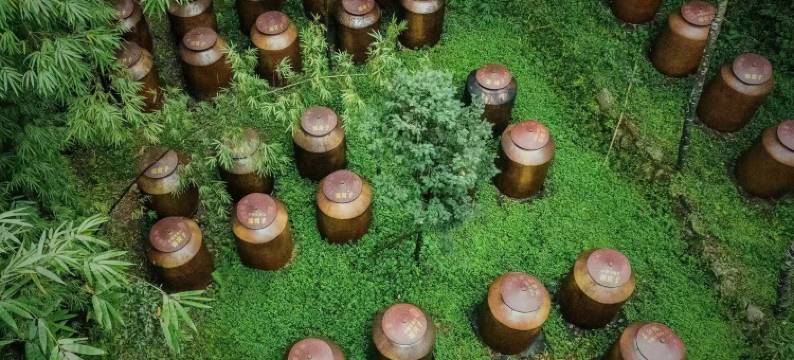 邛崃源窝子酒庄图片