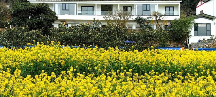 兴义青青于野民宿图片