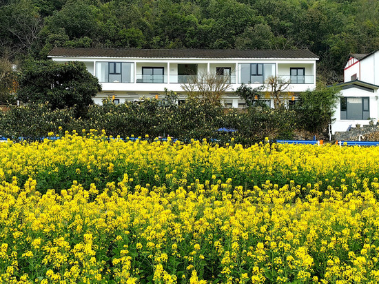 兴义青青于野民宿