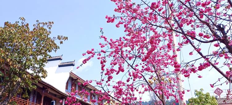 会理在水宜芳酒店图片