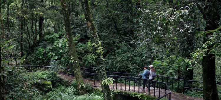 假日酒店度假村加德满都布达尼尔坎塔 by IHG(Holiday Inn Resort Kathmandu Budhanilkantha)图片