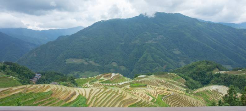 龙脊梯田希悦山宿(七星伴月观景台店)图片