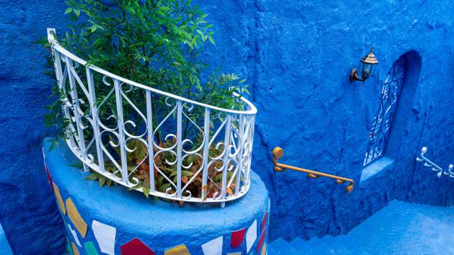 哈尔滨极地公园北极熊酒店(太阳岛地铁站店)图片