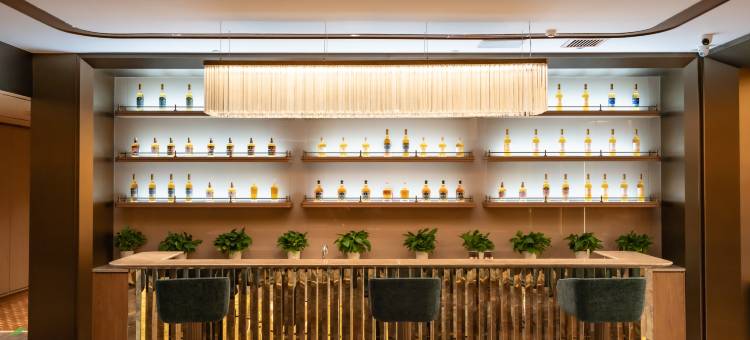 星云顶假日酒店(呼和浩特白塔机场店)图片