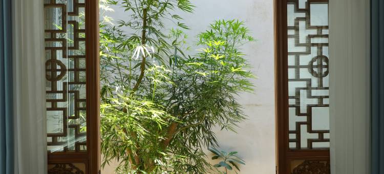 沙溪古镇鳌岫紫阁酒店图片