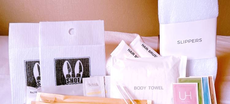 海茵娜酒店Premier 鹿儿岛天文馆(Henn na Hotel Premier Kagoshima Tenmonkan)图片