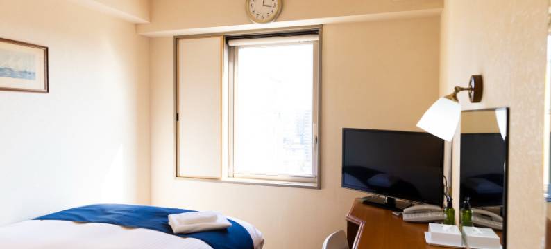 大分阿里斯顿酒店(Natural Hot Spring Ariston Hotel Oita)图片