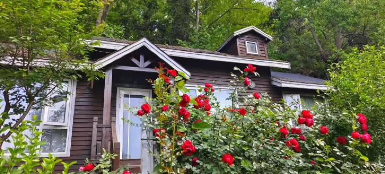 新县大别山露营公园酒店图片