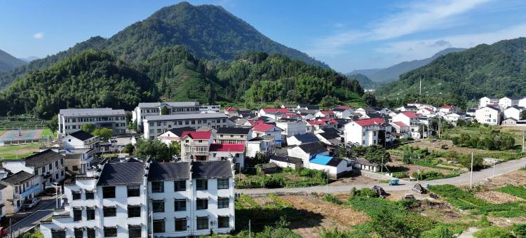 仙寓镇山水人家民宿图片