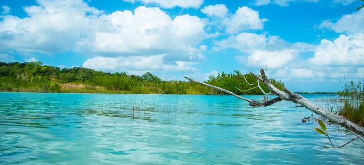 The Explorean Selva Maya Kohunlich图片