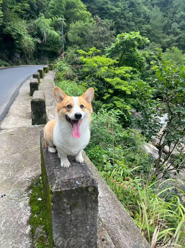 墨韵·华庭History  徽派180°观景设计师轻奢艺术度假艺宿图片