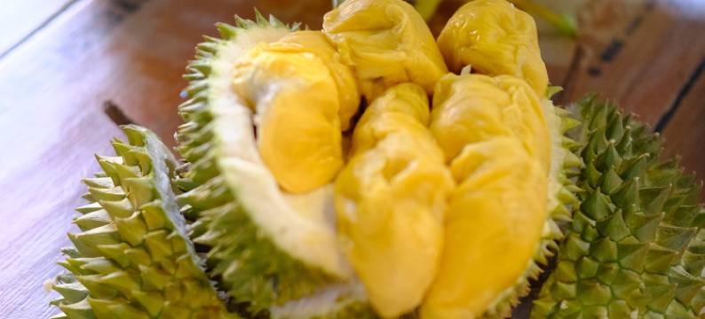 那本仙境梦幻庄园(中文管家服务+免费仙本那镇上/码头接送班车)(Together 2 Holiday Resort)图片