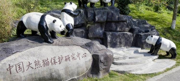 春山小筑私汤温泉民宿(青城山店)图片