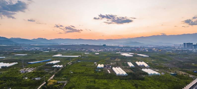 蒙自考易一品图片