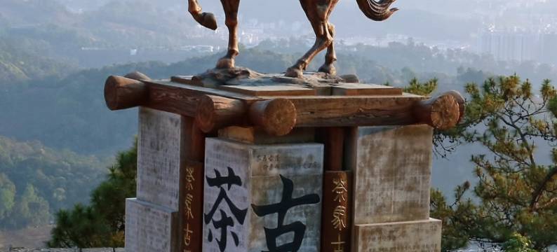 普洱梧悦瑾酒店(湿地公园店)图片