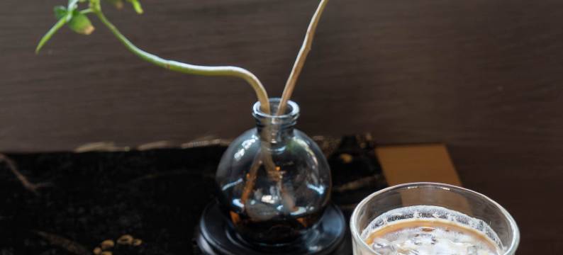 盐官潮乐之城琵琶客栈图片