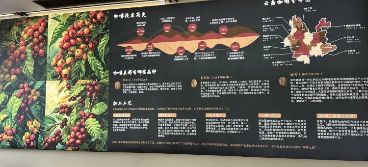 有风咖谷coffee｜forst garden美丽星村·咖啡基地度假庄园图片