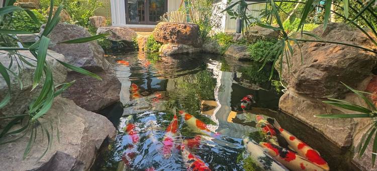 上海隐墅●Lunas Villa庭院花园度假民宿(上海国际旅游度假区店)图片