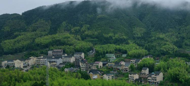 泰顺云岚牧场度假村图片