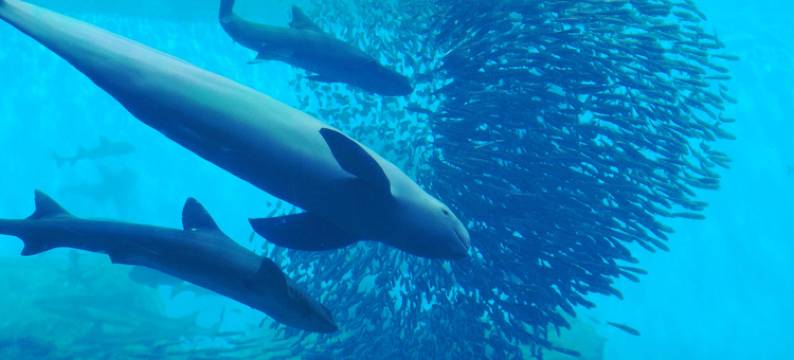 东横INN-仙台西口广濑通(Toyoko Inn Sendai Nishi-Guchi Hirose-Dori)图片